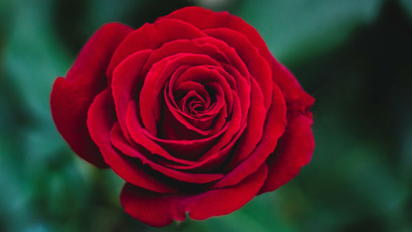 रंगों से जानिए लोगों का नेचर 