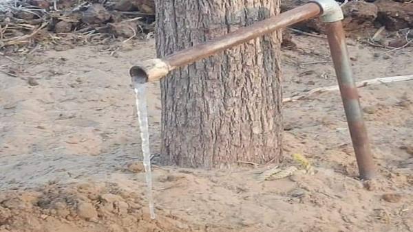 श्रीगंगानगर व हनुमानगढ़ इसलिए कम ठंडे