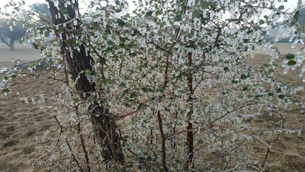  फिर चूरू से ठंडा फतेहपुर क्यों