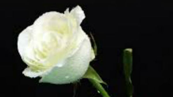 रंग बता देते हैं आपके दिल के राज 