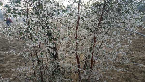 स्कूल-कॉलेज बंद