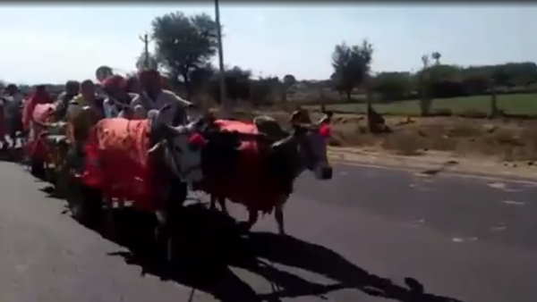 बैलगाड़ी पर निकली बारात