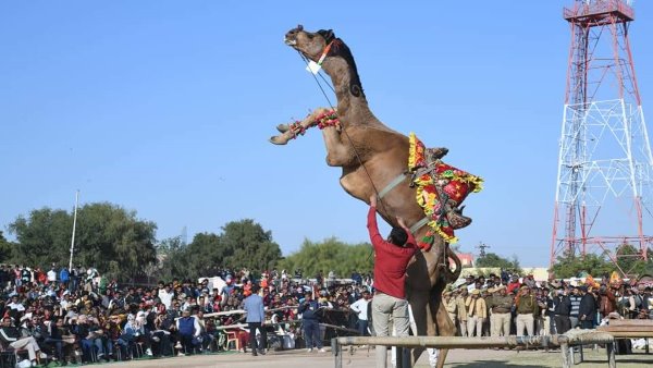 एसपी ने चलाई जीप एसपी ने चलाई जीप