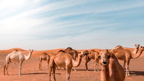 लोगों ने की शिकायत