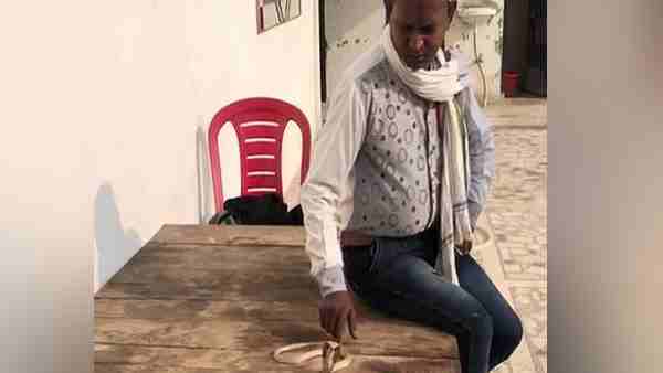 नागिन को पकड़ने के लिए बुलाया सपेरा