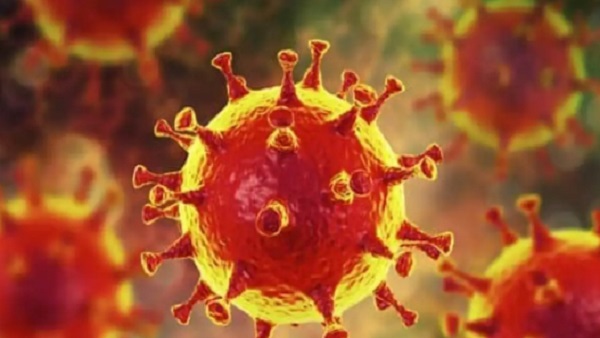 शरीर के किस-किस भाग को नुकसान पहुंचाता है Brucellosis बैक्टीरिया