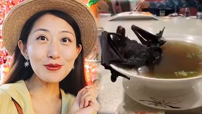 लेटर पोस्‍ट कर चमगादड़ खाने के लिए मांगी माफी 