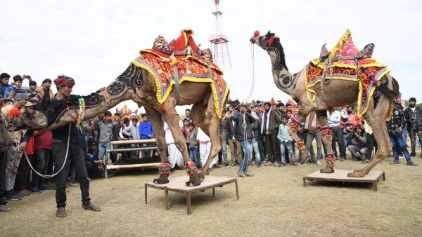 दूसरे दिन कई आयोजन दूसरे दिन कई आयोजन