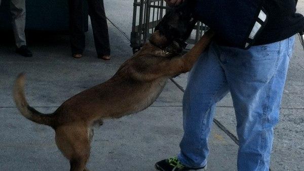 अदालत ने किस आधार पर सुनाया फैसला?