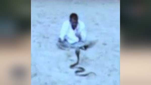  सांप के साथ आधे घंटे तक ड्रामा