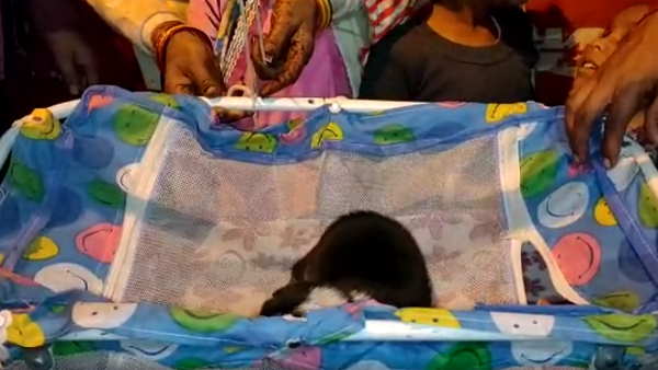 तीन-चार सौ लोगों को खिलाया खाना