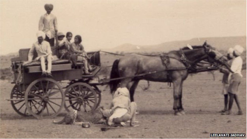 ऐसी घोड़ा गाड़ी का इस्तेमाल शिकार के लिए किया जाता था.