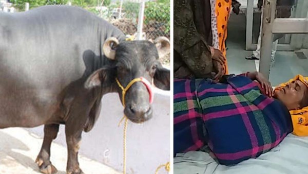 करौली के पैटोली गांव की घटना