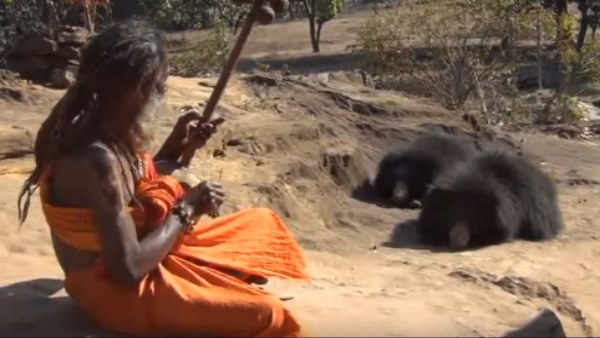 वर्ष 2003 में रह रहे जंगल में