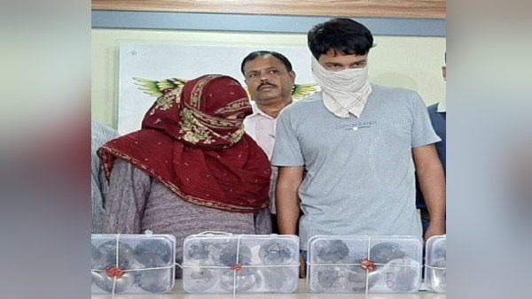 लड्डू के रूप में पैक करके रखी हुई थी