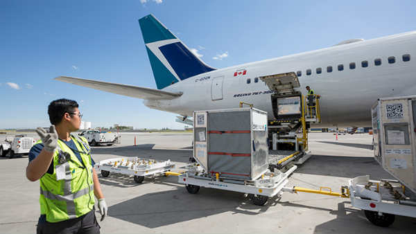 पायलट को वापस लाना पड़ा प्‍लेन 