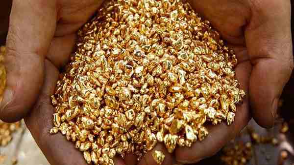 7 सदस्यीय टीम 22 फरवरी को सौंपेगी रिपोर्ट 7 सदस्यीय टीम 22 फरवरी को सौंपेगी रिपोर्ट