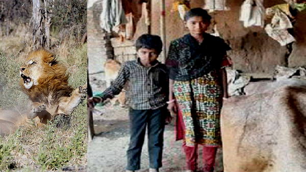 शिवा की चचेरी बहन है कैलाशबेन शिवा की चचेरी बहन है कैलाशबेन