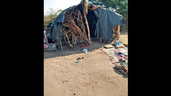 वन विभाग ने रखवाया पिंजरा