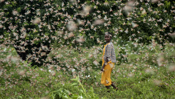 सेना के सिर आई जिम्‍मेदारी 