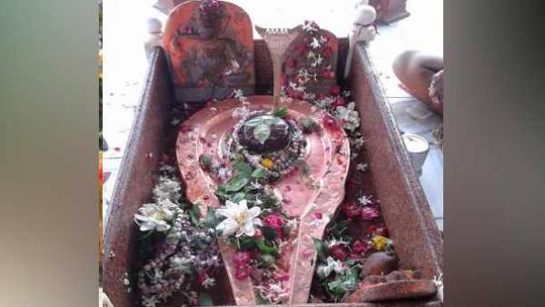 महाशविरात्रि पर आस्था का सैलाब