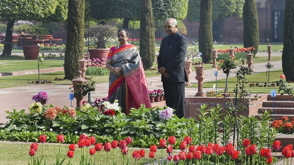  गेट नंबर 35 से आगंतुकों को प्रवेश मिलेगा