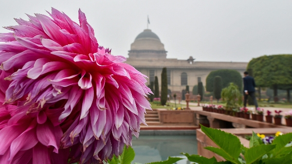 आम जनता के लिए 5 फरवरी से 8 मार्च तक खोला जाएगा