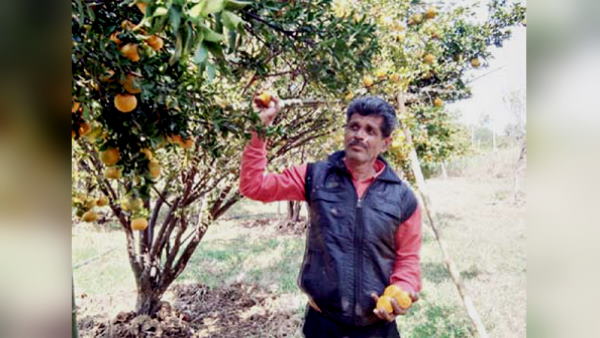 सतना का यह किसान संतरे अमरूदों से कर रहा कमाई