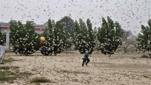 ईरान से आई मुसीबत 