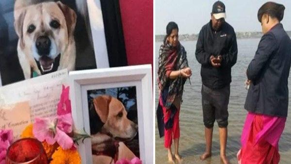 कुत्ते के पिंडदान के लिए भारत आया परिवार