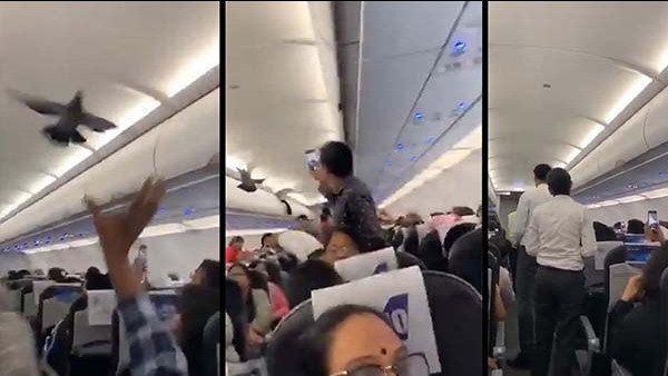 कैसे अंदर रह गए, ये सवाल उठ रहे 