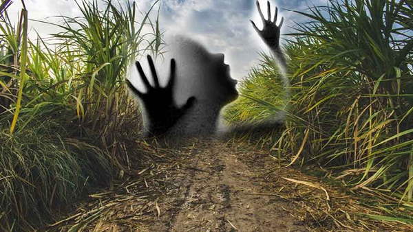 20 years imprisonment to rapist 