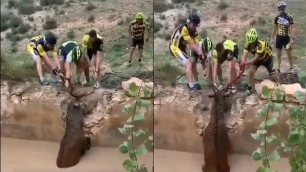 27 सेकंड का वीडियो हो रहा वायरल