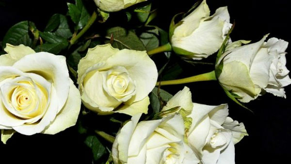 मुझे देख मुस्कुरा देता है सारा जहां... मुझे देख मुस्कुरा देता है सारा जहां...