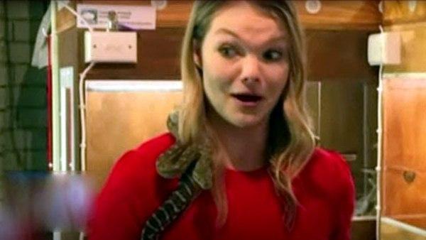 शॉट के बाद सांप हुआ गायब 