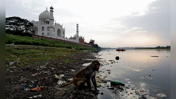 मुख्यमंत्री योगी आदित्यनाथ ने लिया था यह फैसला