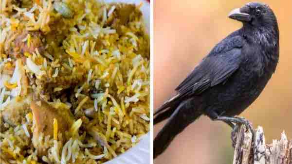 श्रद्धालुओं ने की थी शिकायत