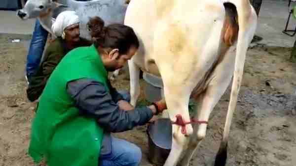  तेज प्रताप ने ग्वाले का भेष धरा था...