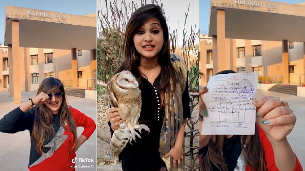 वन विभाग ने वीडियो पर 25 हजार का जुर्माना लगाया वन विभाग ने वीडियो पर 25 हजार का जुर्माना लगाया