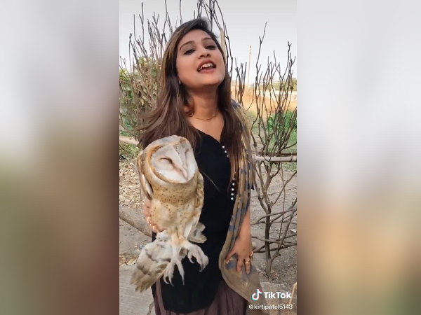 उल्लू संरक्षित प्राणी है, इससे खेलना भी अपराध उल्लू संरक्षित प्राणी है, इससे खेलना भी अपराध