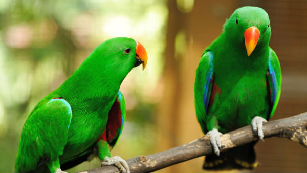 थोड़ी देर में ऋषि महाराज भी आ गए