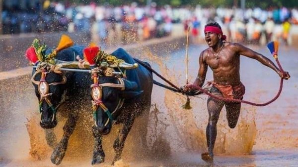 श्रीनिवास गौड़ा की रफ्तार पर उठाए सवाल