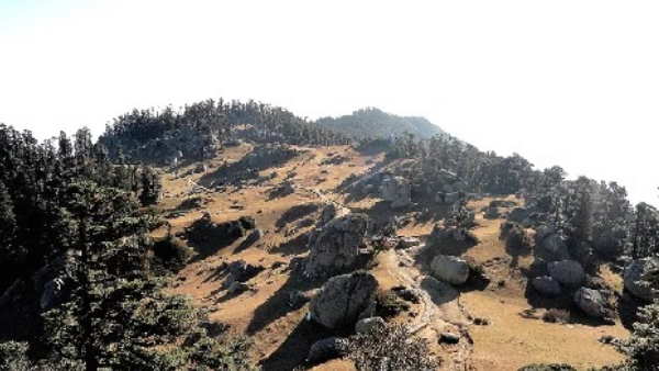 चार साल तक चला था सर्वे