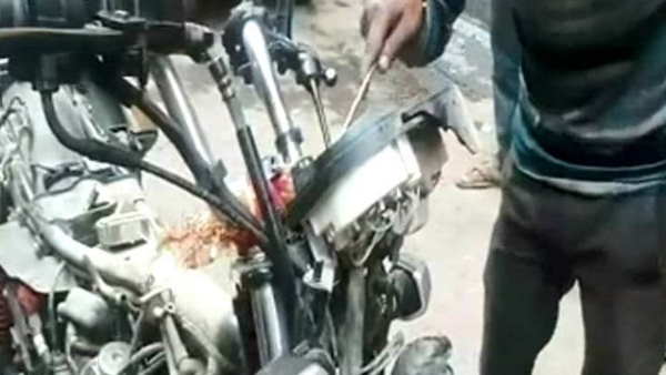 बाइक के हैंडल पर चढ़ गया सांप