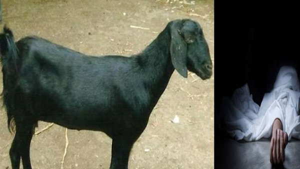 डॉक्टर ने कहा कि इलाज में नहीं थी कोई कमी