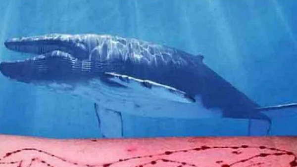 पबजी से पहले ब्लू व्हेल गेम भी था खतरनाक