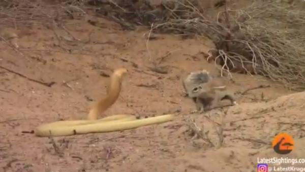 39 सेकेंड का है वीडियो 39 सेकेंड का है वीडियो