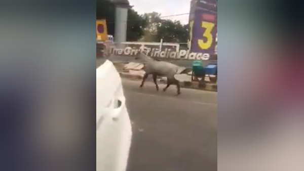 नोएडा में पसरा है सन्नाटा