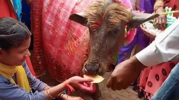 मां दुर्गा के मंदिर में करवाया मुंडन