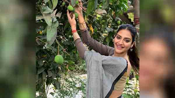 इन बातों का रखें खास ख्याल